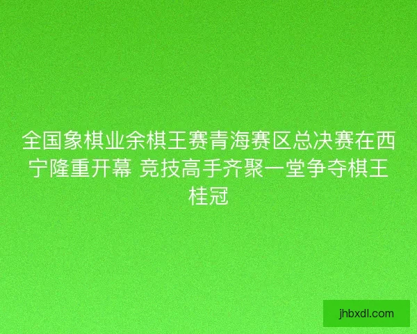 全国象棋业余棋王赛青海赛区总决赛在西宁隆重开幕 竞技高手齐聚一堂争夺棋王桂冠